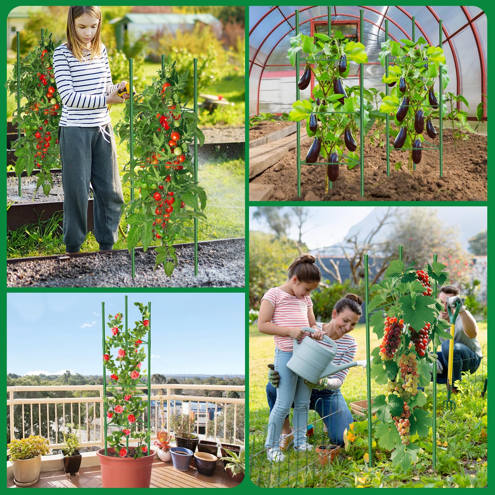 MQUPIN plant-support system promotes airflow and sun exposure for healthier vines.