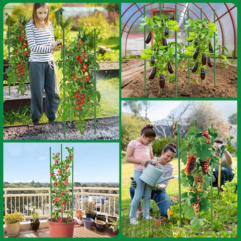 MQUPIN plant-support system promotes airflow and sun exposure for healthier vines.
