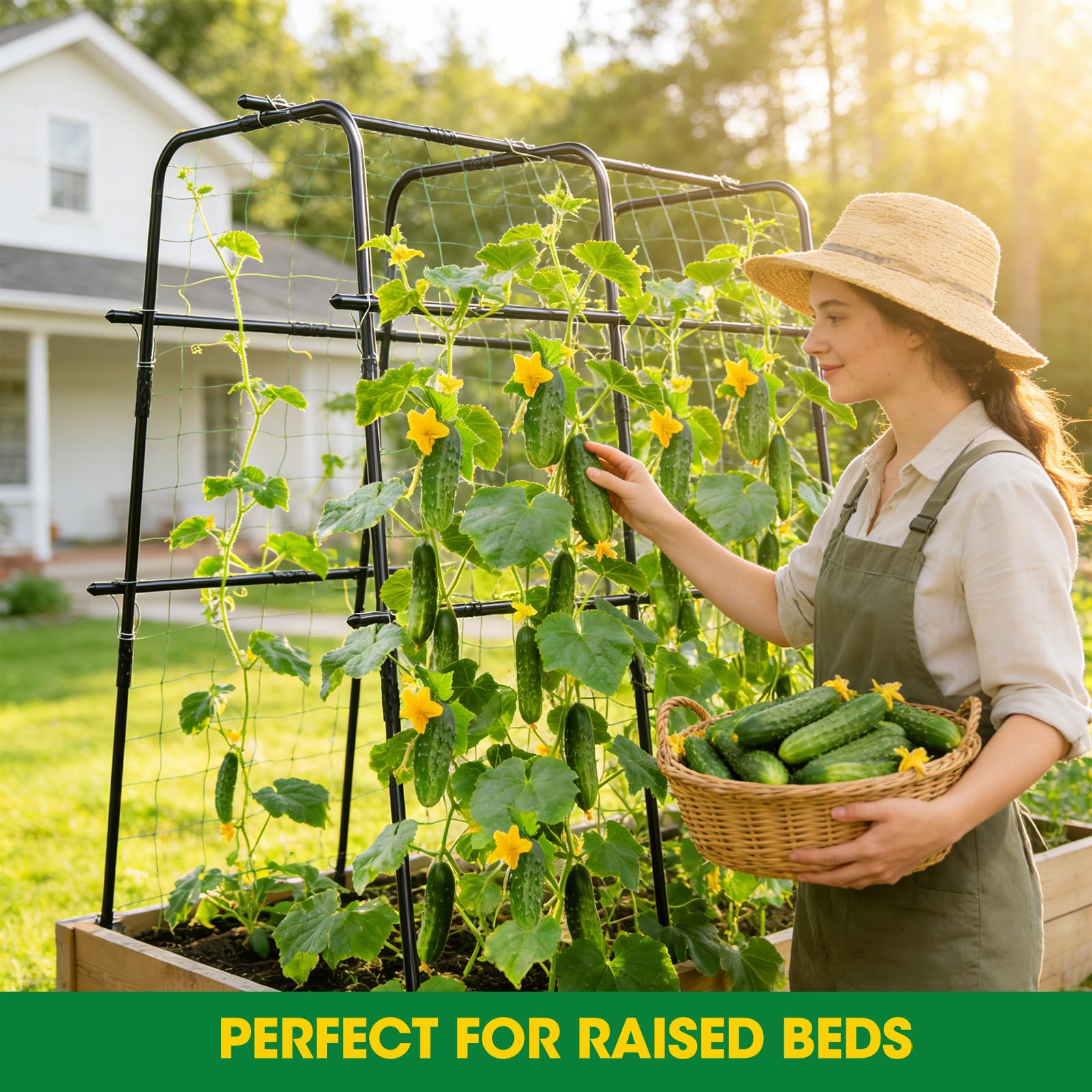 MQUPIN 47x47 climbing area enabling ample vertical growth for cucumbers.