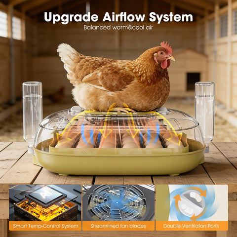 MQUPIN climate-control sensors maintain stable temp and humidity for steady development.
