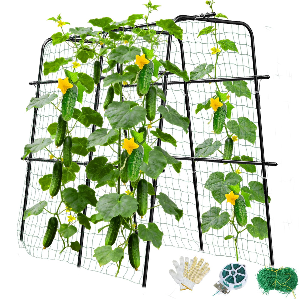 MQUPIN cucumber trellis with U-shaped arch support for sturdy climbing plants.
