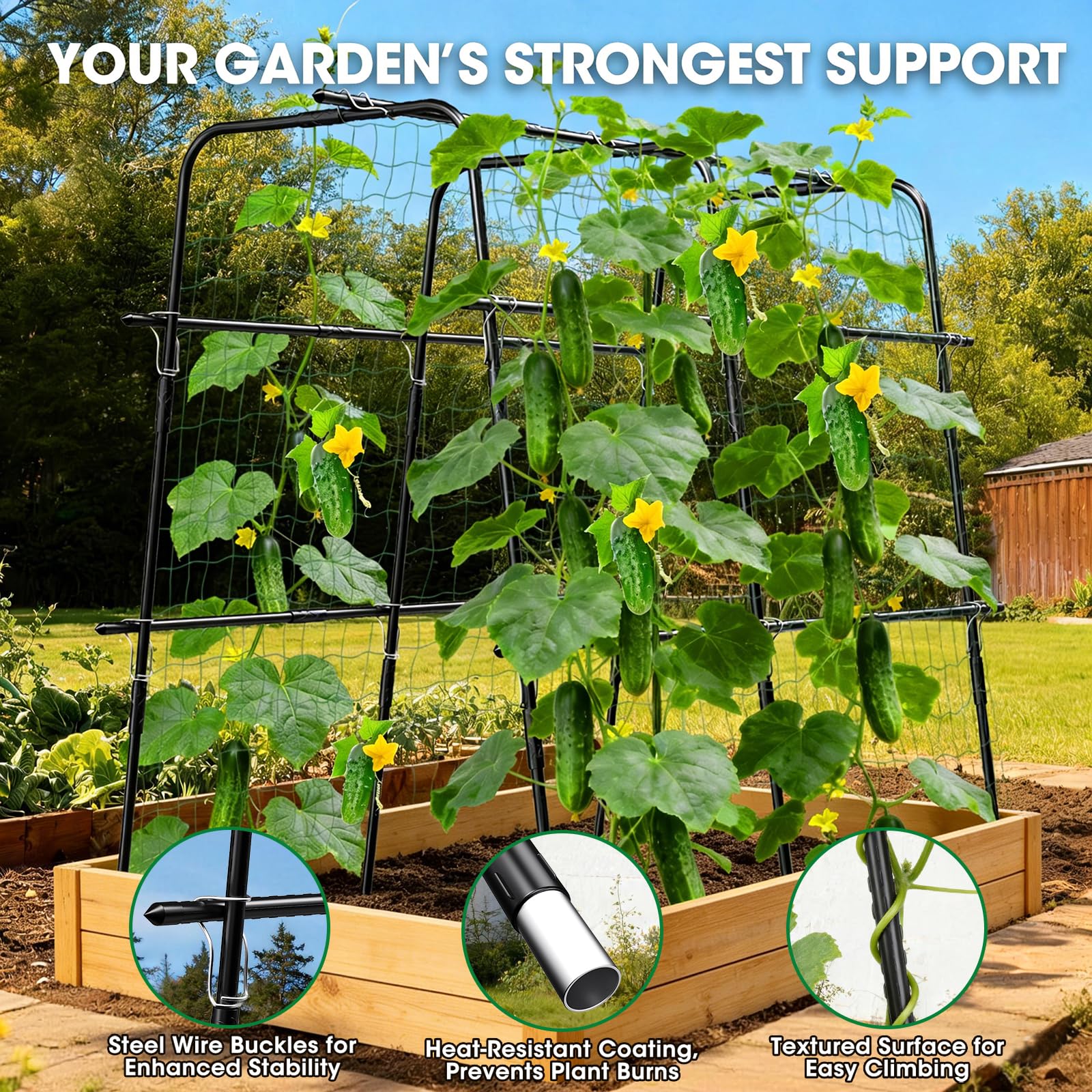 MQUPIN nylon netting on trellis for secure vine growth.