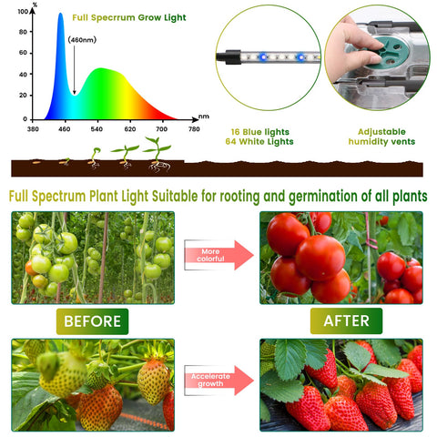 MQUPIN smart timer ensures consistent light cycles for efficient germination routines.