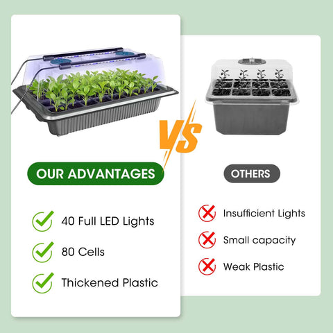 MQUPIN two-tray setup doubles capacity for batch germination.