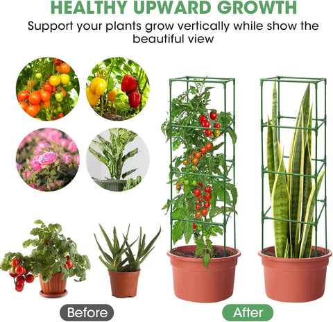 MQUPIN four-pack tomato cages ready for multiple plant setups in the patch