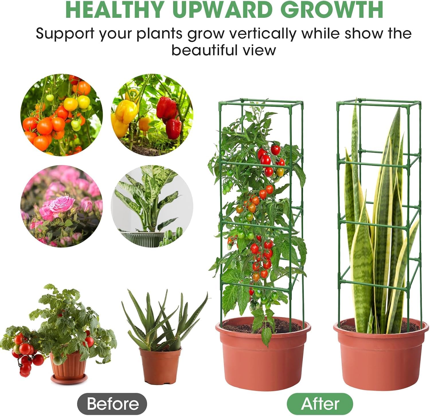 MQUPIN 3-pack set of cages for multiple plants.
