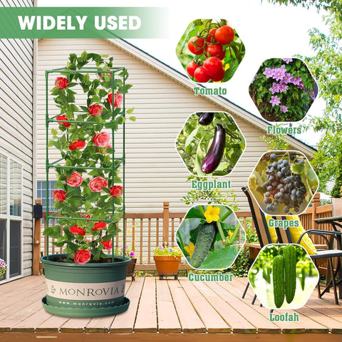 MQUPIN tomato cage supports climbing plants to keep vines upright