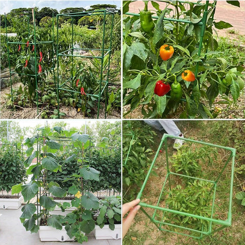 MQUPIN 8mm steel pipes ensure durable garden support.
