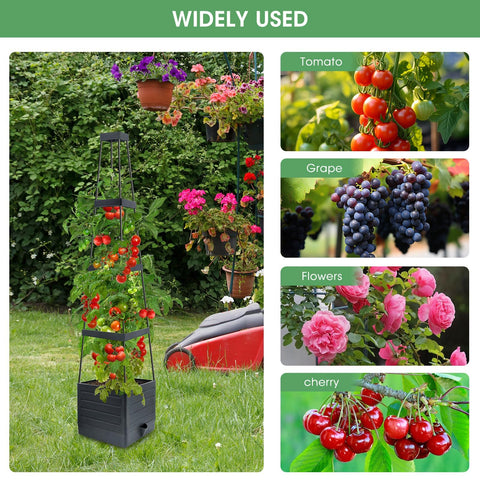 MQUPIN tomato planter box sold as a 2-pack for versatile garden layouts.