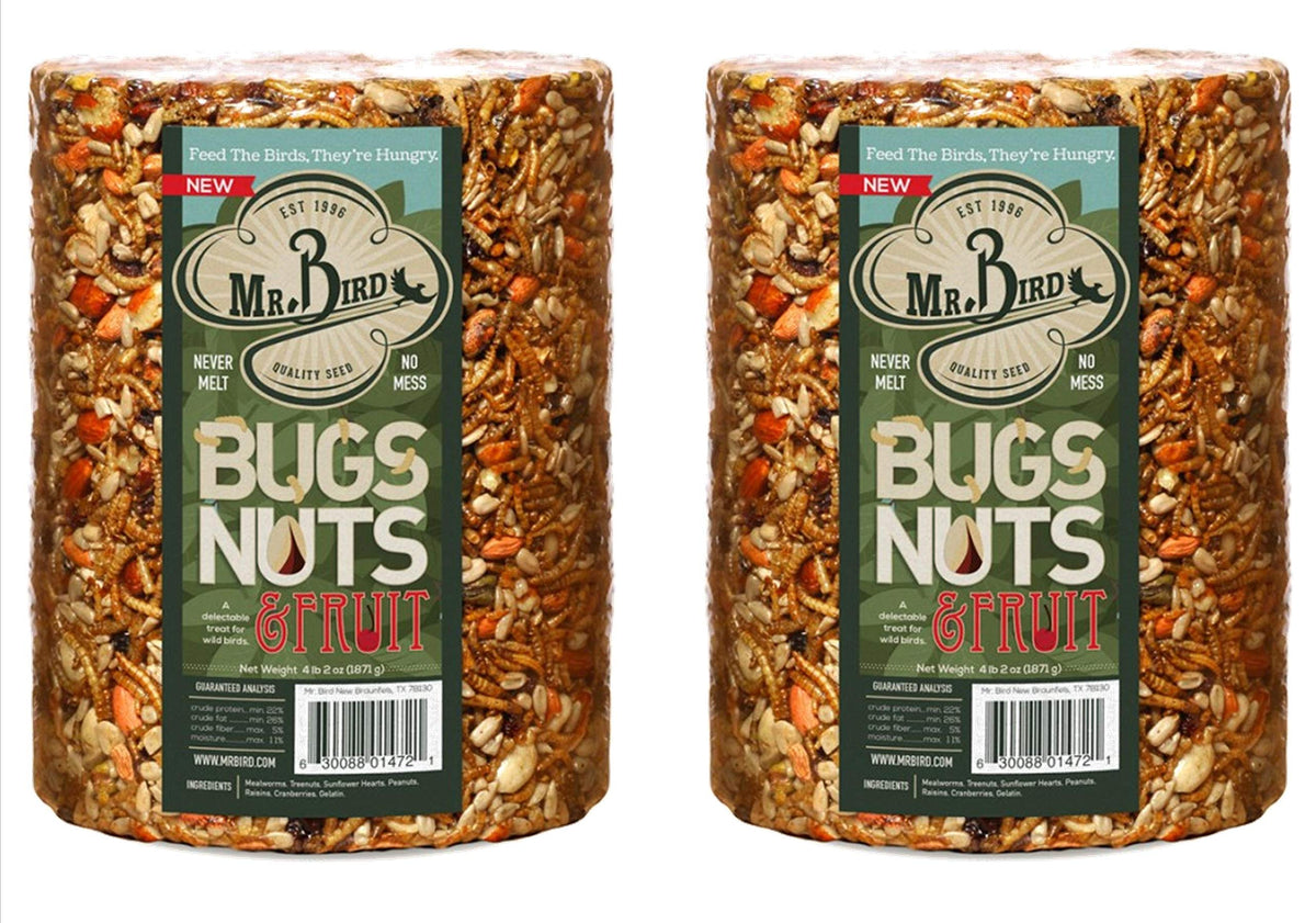 Mr. Bird Bugs, Nuts & Fruit seed cylinder on a feeder attracts diverse backyard birds