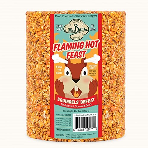 Mr. Bird Flaming Hot Feast shows birds feeding on a large, long-lasting seed cylinder.