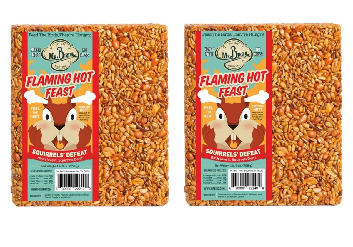 Mr. Bird Flaming Hot Feast large block in a feeder, attracting songbirds.