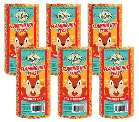 Mr. Bird Flaming Hot Feast seed cylinder, front view, compact design attracts backyard birds