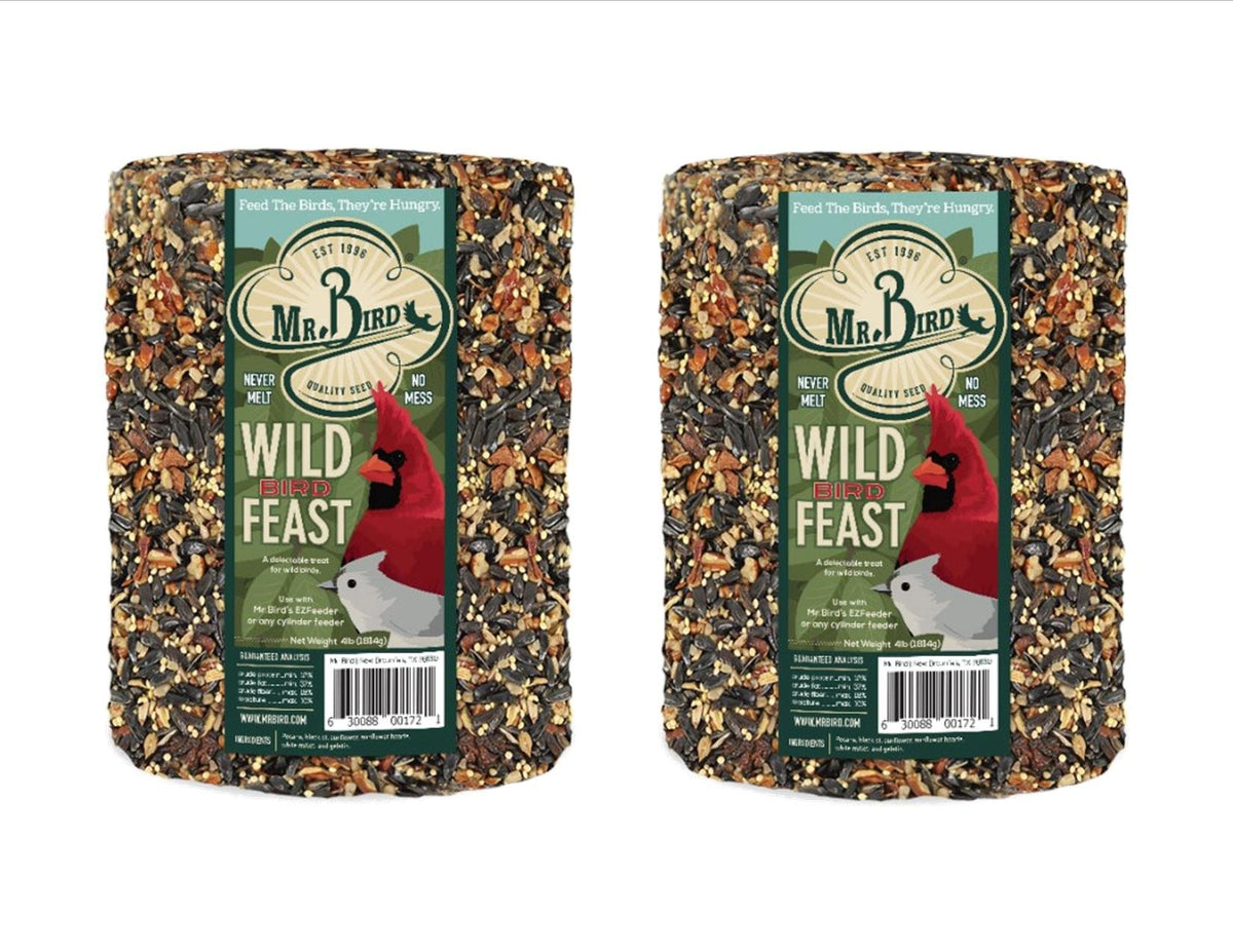 Mr. Bird Wild Bird Feast cylinder, 4 lb pack ready for year-round feeding.