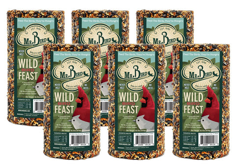 Mr. Bird Wild Bird Feast cylinder provides long-lasting feed with no mess