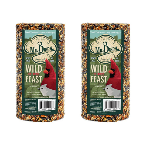 Mr. Bird Wild Bird Feast cylinder in net attracts a diverse backyard bird variety for year-round feeding.