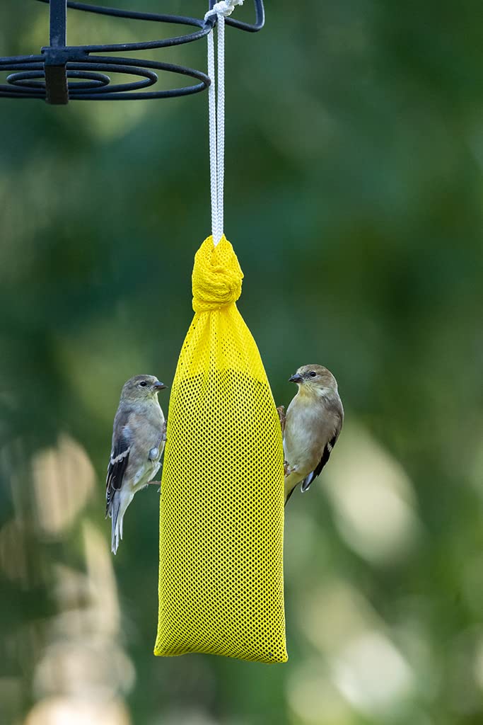 Mr. Canary all-season bird feeding setup shown as a 2-pack
