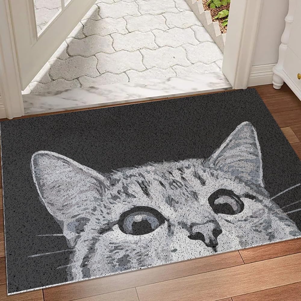 MR FANTASY Cat Door Welcome Mat front view showing dirt-trapping durability.