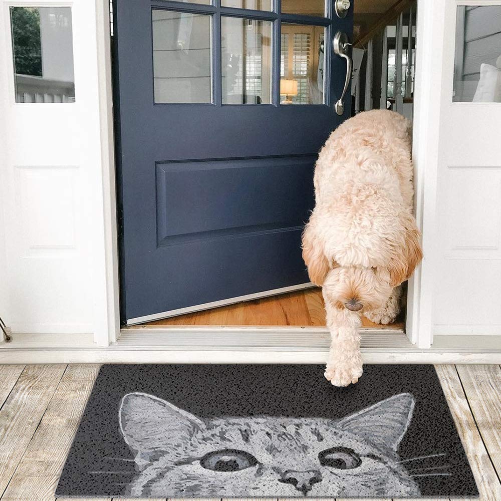 MR FANTASY Cat Door Welcome Mat endures rain and snow while staying dry.