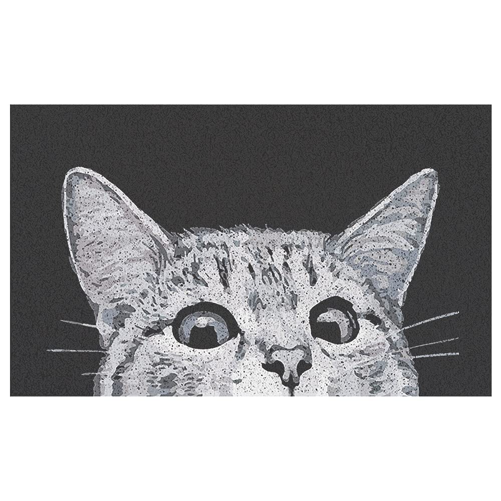 MR FANTASY Cat Door Welcome Mat great for high-traffic entrances.