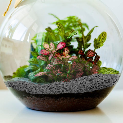 Mr. Fireglass eco-friendly gray pebbles without dyes for safe plant decor.