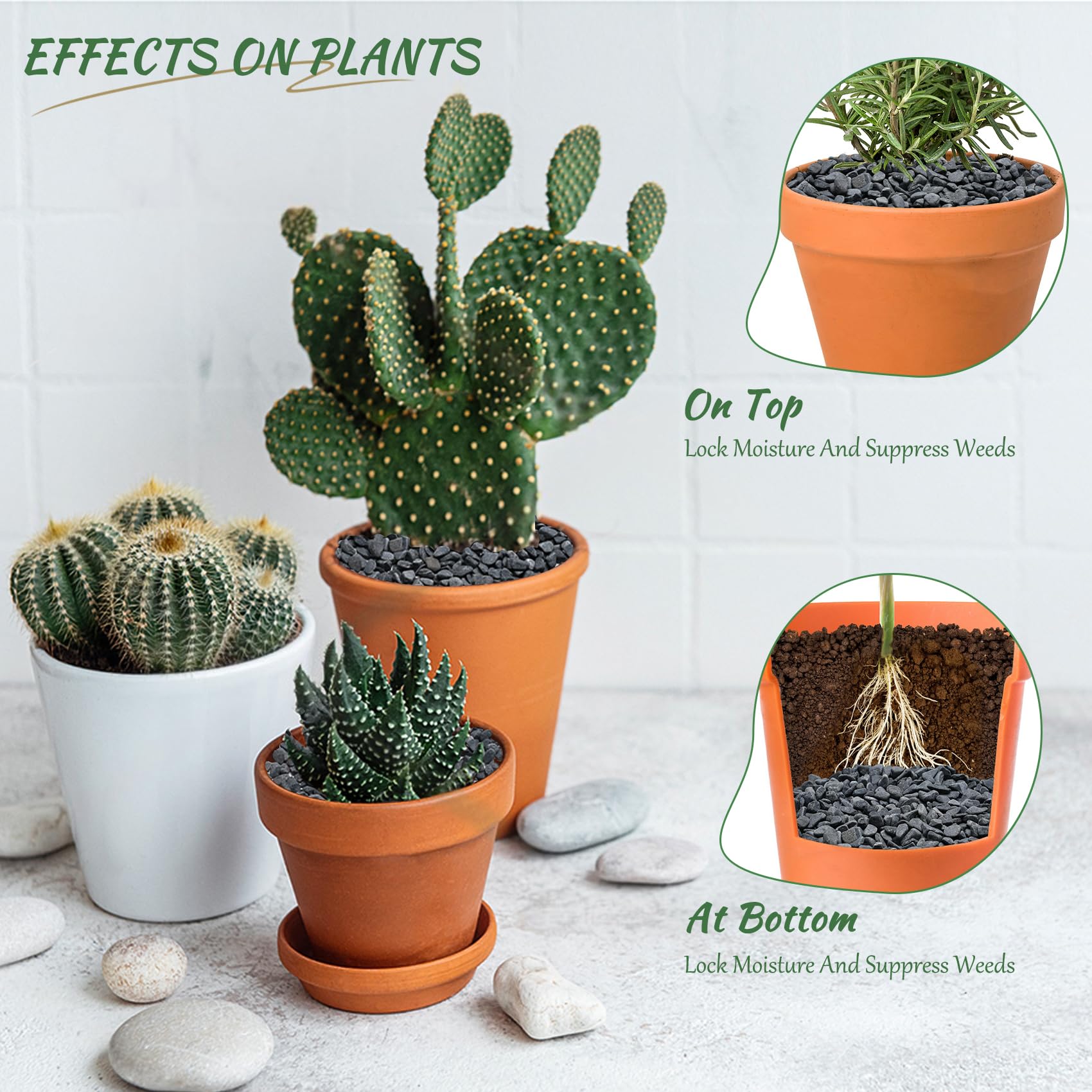 Mr. Fireglass gray bean pebbles for terrariums add subtle color.