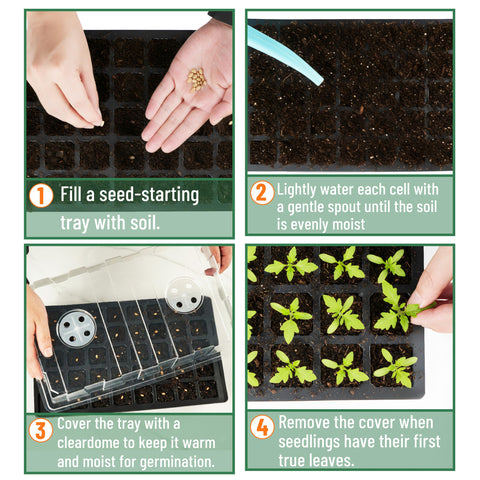 Clear base and dome assembly simplifies greenhouse seed starting and monitoring