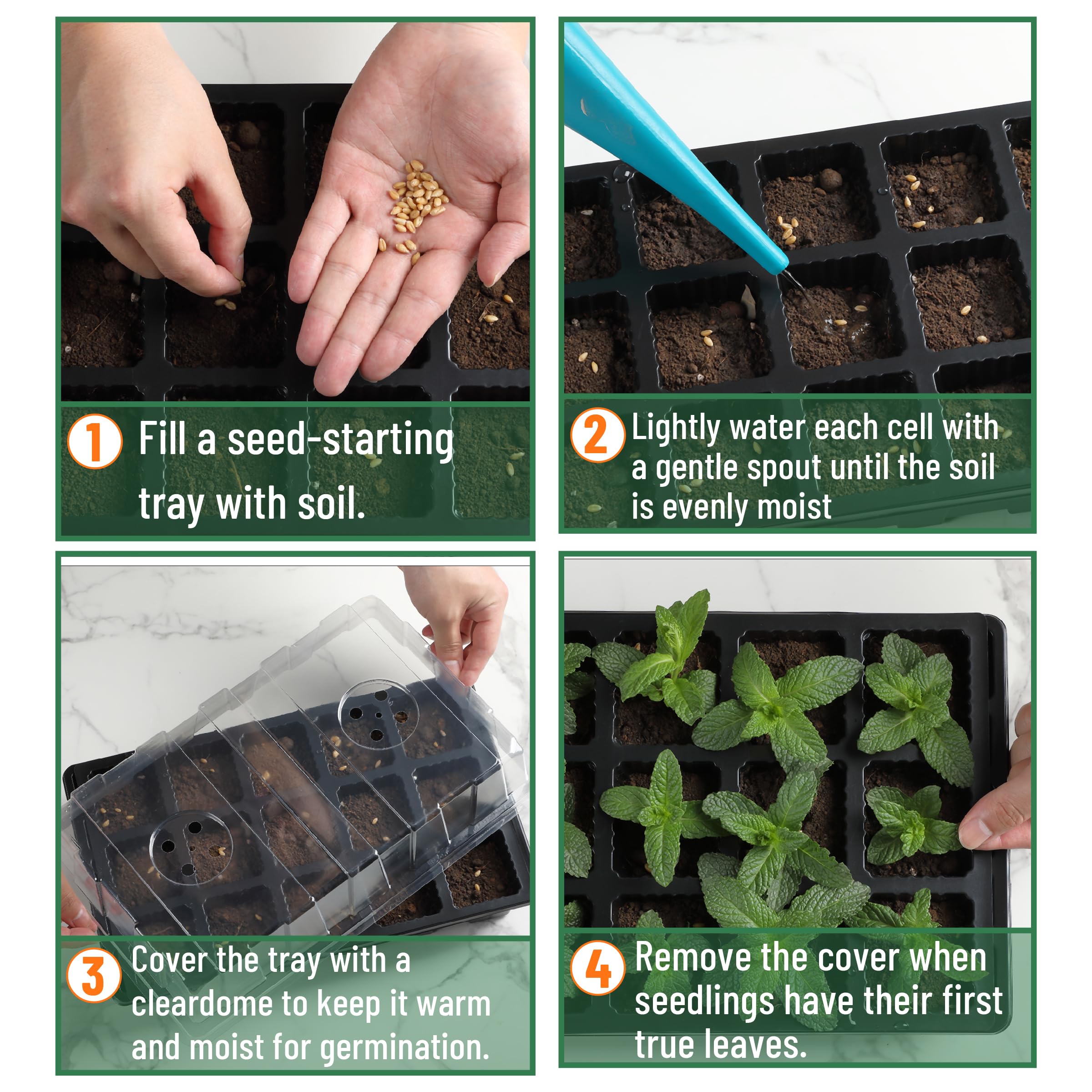 Mr. Pen clear dome offers light transmission and visibility for seedlings.