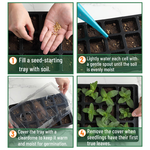 Mr. Pen clear dome offers light transmission and visibility for seedlings.