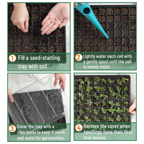Ideal for starting flowers, vegetables and herbs at home.