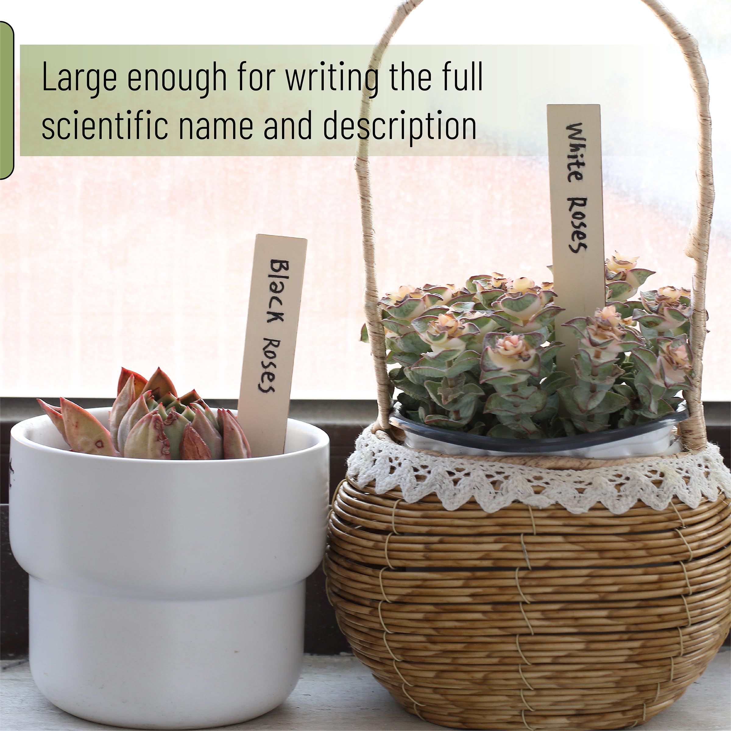 Mr. Pen labels in garden helping identify plants and track care at a glance.