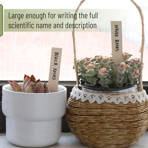 Mr. Pen labels in garden helping identify plants and track care at a glance.