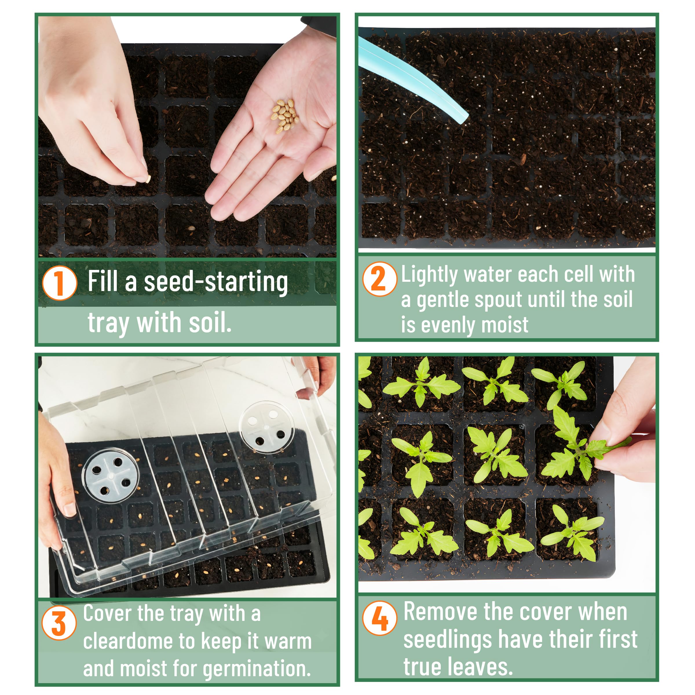 Mr. Pen clear dome design allows watching sprouts without lifting lids.
