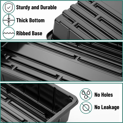 Mr. Pen seedling trays supporting sprouts and microgreens with even spacing.
