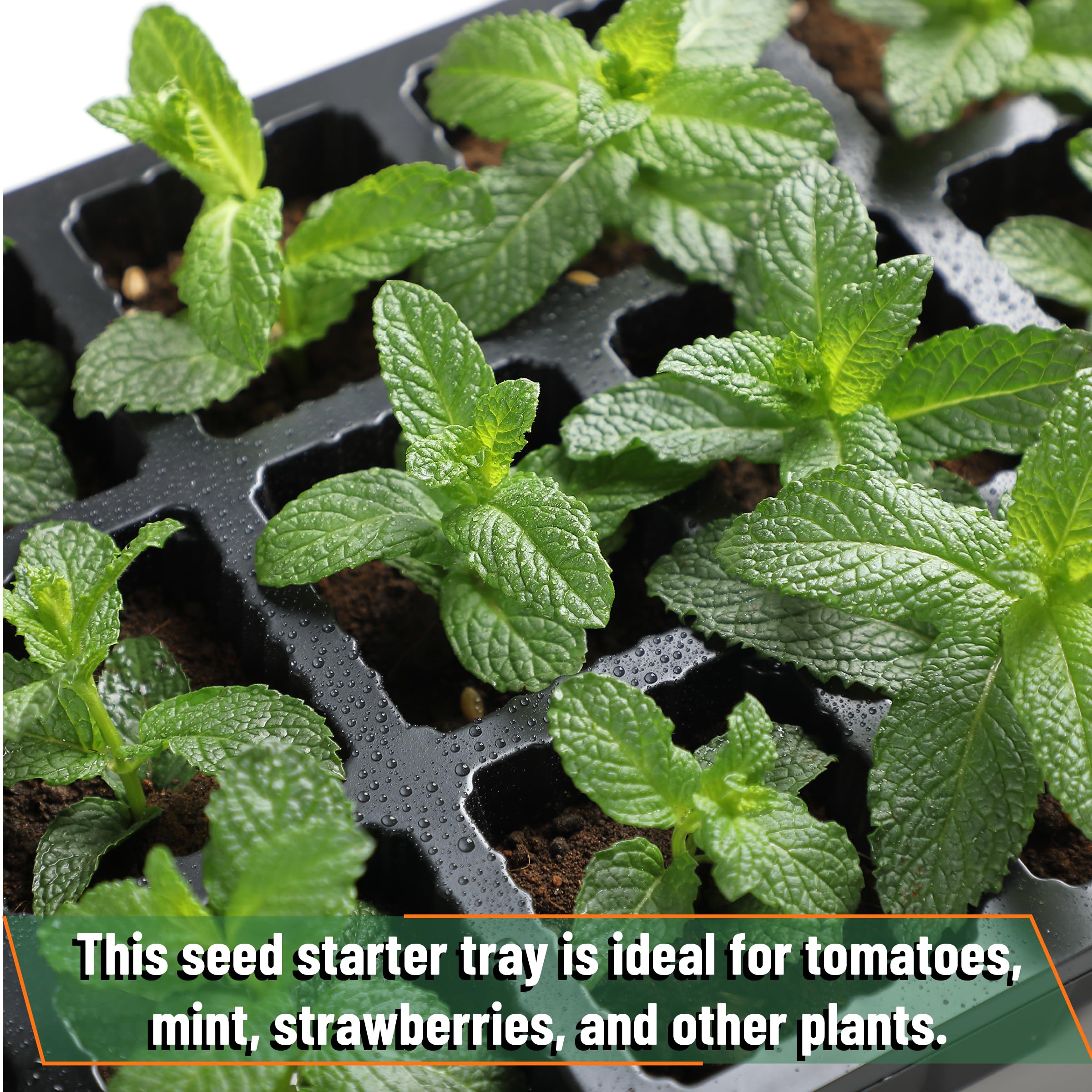 Mr. Pen included shovel and scoop for clean filling and transplanting.