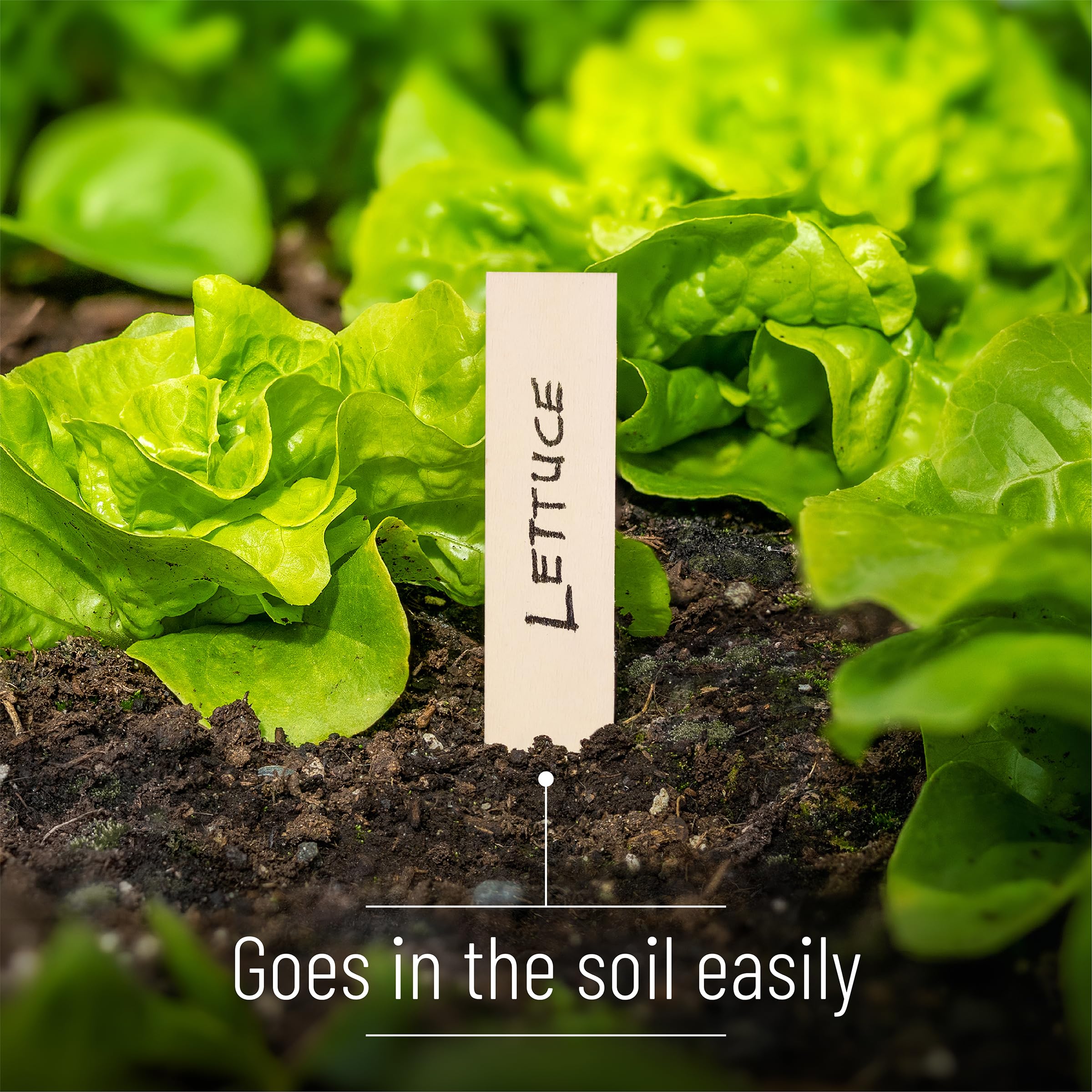 Mr. Pen weather-resistant wood labels stay legible in sun and rain.