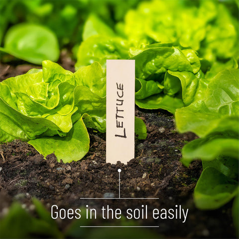 Mr. Pen weather-resistant wood labels stay legible in sun and rain.