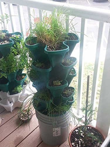 Mr. Stacky 1305-HG indoors/outdoors use supports year-round, versatile gardening
