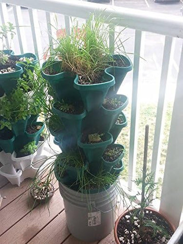 Mr. Stacky 1305-HG indoors/outdoors use supports year-round, versatile gardening
