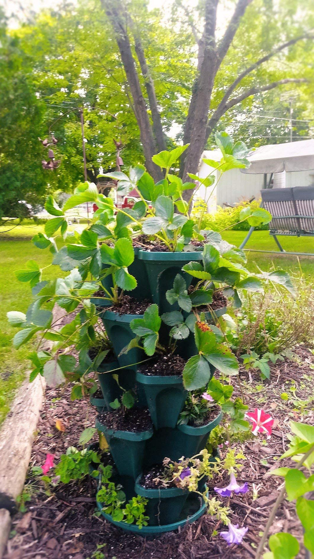 Mr. Stacky 1305-HG stacked layers highlight compact setup for strawberries and flowers