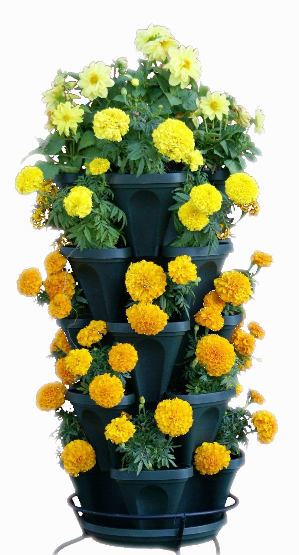 Mr. Stacky 1305-HG top-tier reservoir demonstrates self-watering capability for herbs