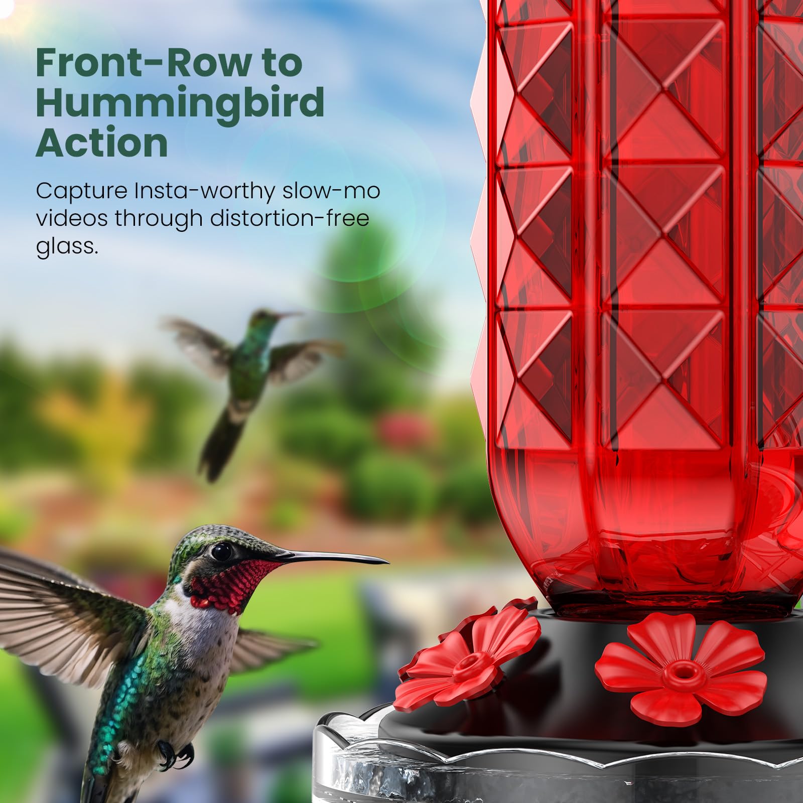 MrCrafts four-port design boosts feeding options for visiting hummingbirds