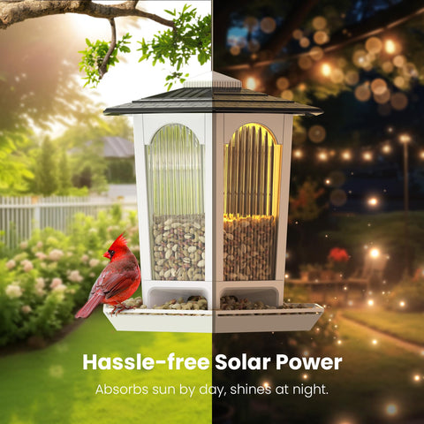 MrCrafts Nature solar-powered glow creates a cozy nighttime ambiance