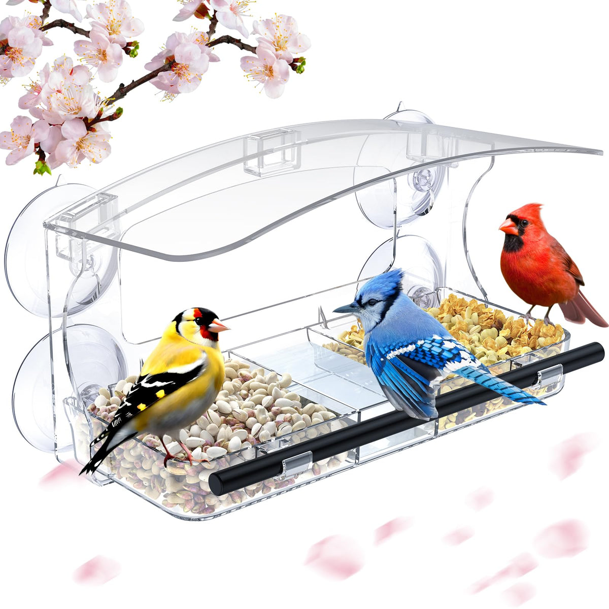 Mrcrafts window bird feeder with suction cups securely attaches to glass for indoor viewing