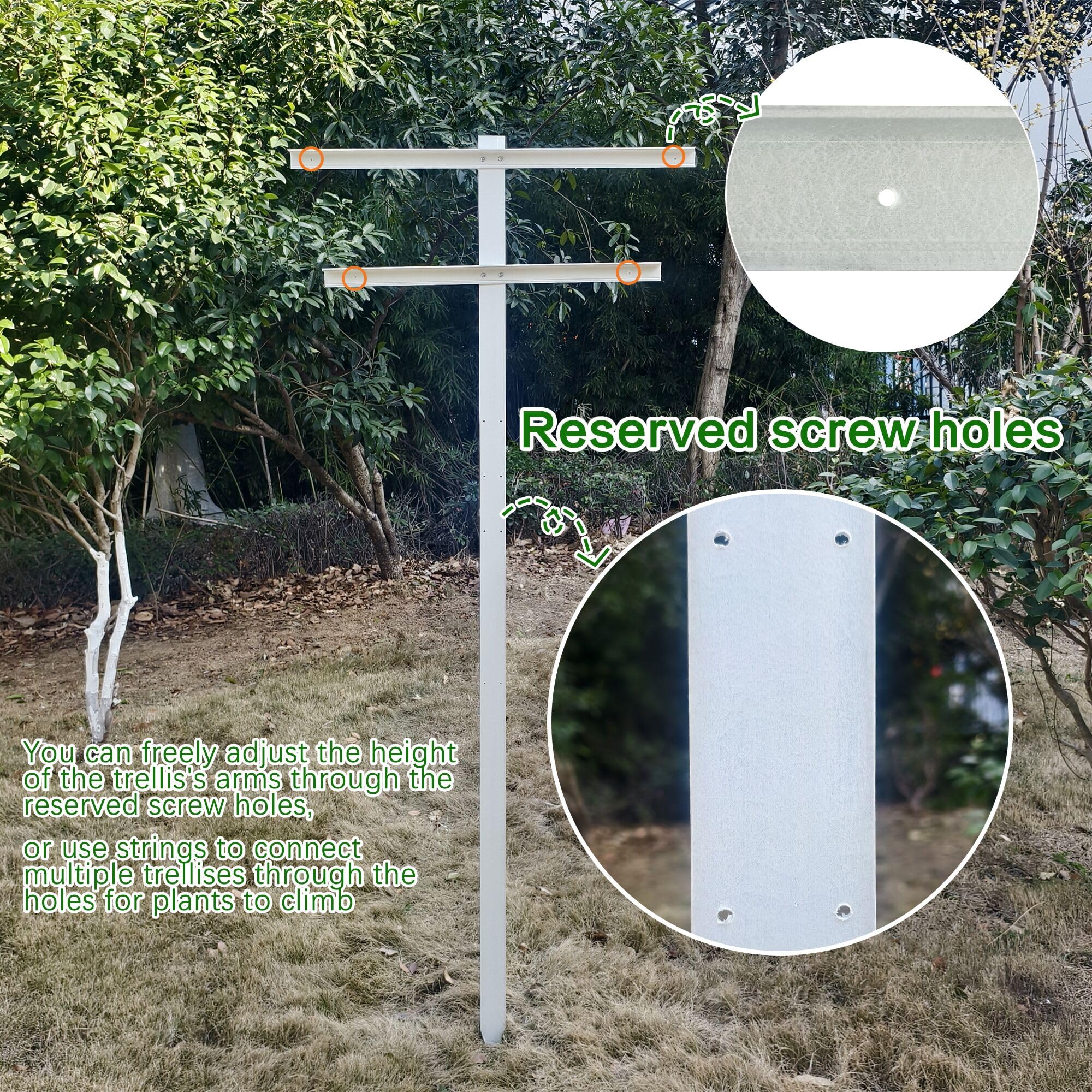 MR Garden ideal for raspberries and grapes climbing vines