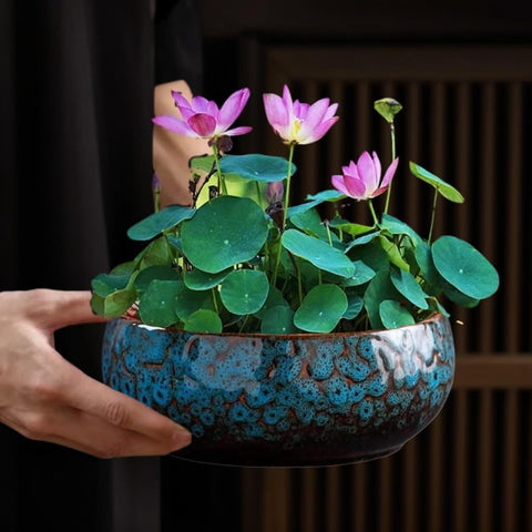 Mrxxjz aquatic decorative container doubles as a zen garden centerpiece.