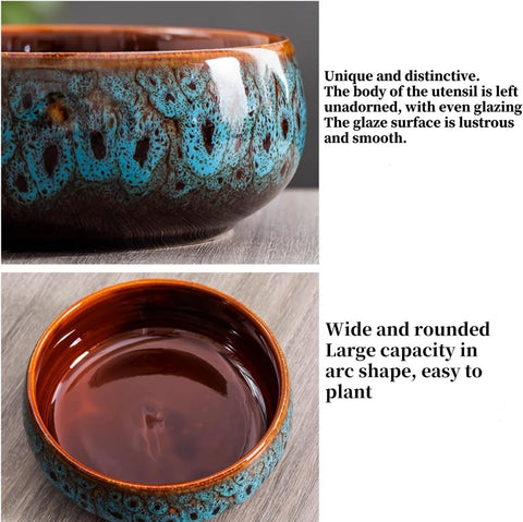 Mrxxjz hydroponic planting container supports aquatic greenery with a sleek decorative edge.