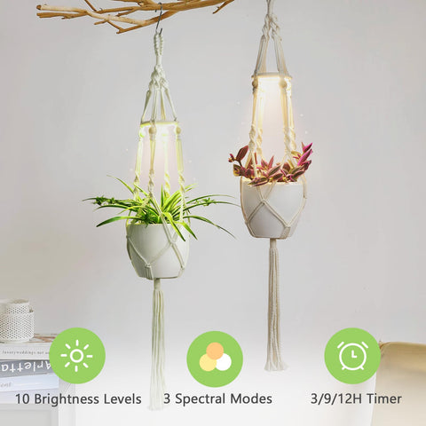 MSFON hanger fits pots up to 9 inches in diameter for versatile indoor use.