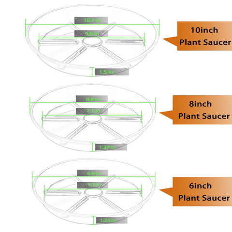 MSKIAUO 8-inch clear plant saucer suitable for medium pots and drip control.