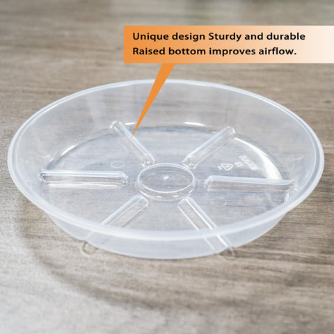 MSKIAUO clear saucer on pots complements any decor style.